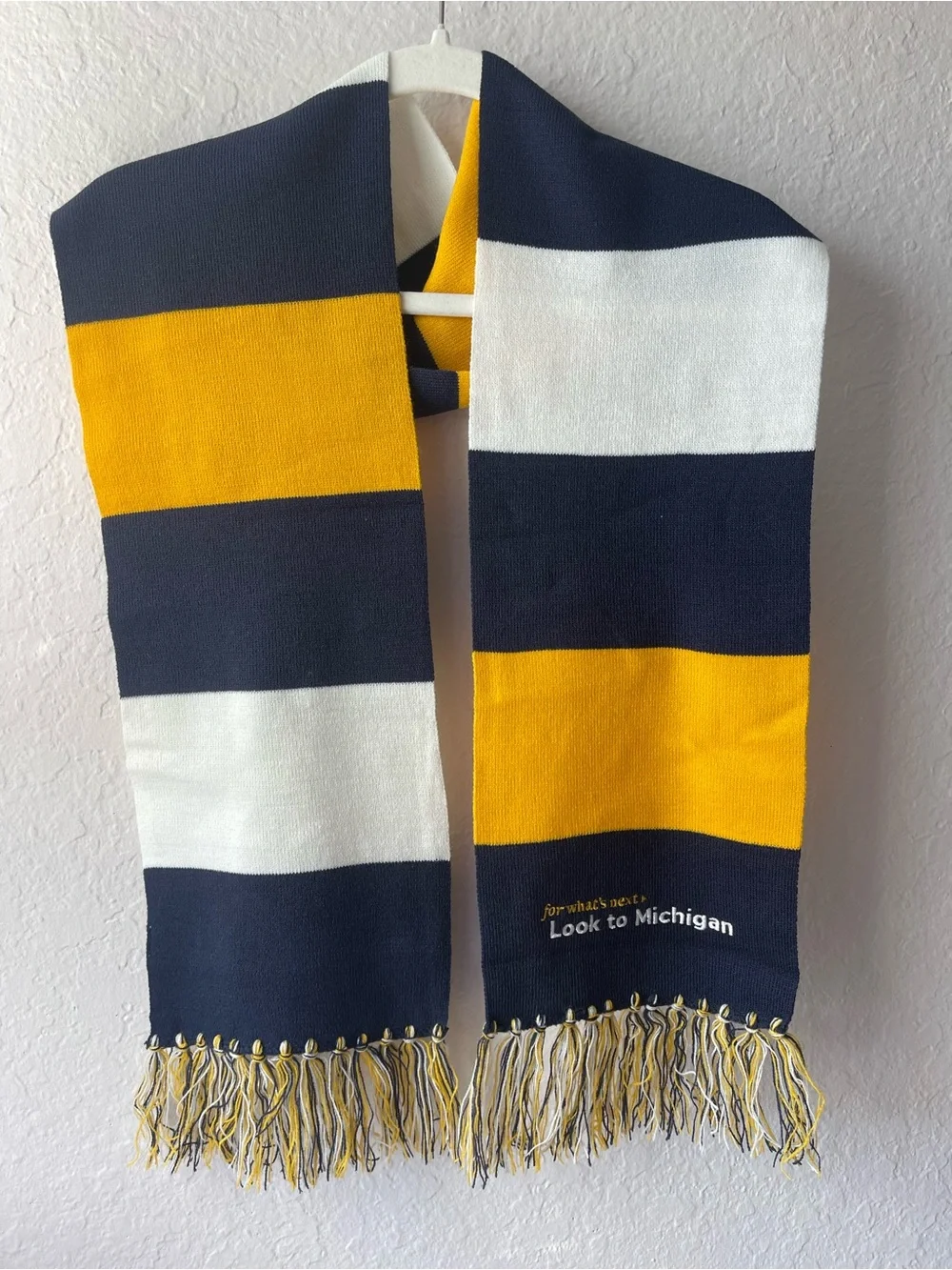 U of M Campaign Scarf